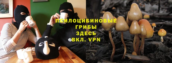 а пвп мука Арсеньев