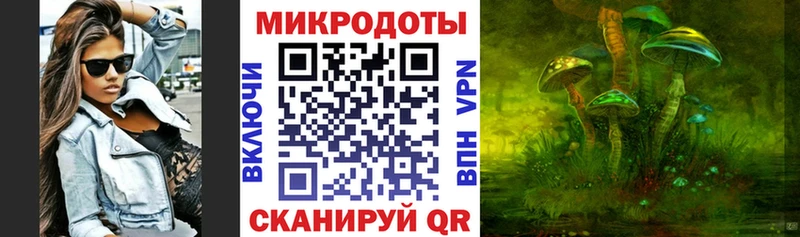 Псилоцибиновые грибы Psilocybe  blacksprut как зайти  Ленск 